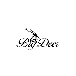 BIGDEER logo