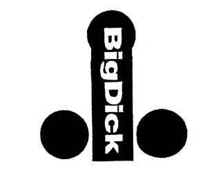 BIGDICK logo