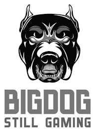 BIGDOG STILL GAMING logo