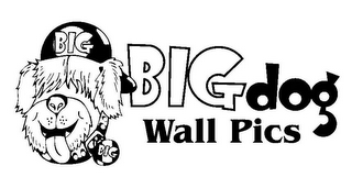 BIGDOG WALL PICS BIG BIG logo