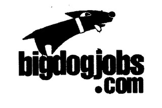 BIGDOGJOBS.COM logo