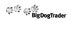 BIGDOGTRADER logo