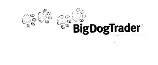 BIGDOGTRADER logo