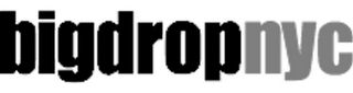 BIGDROPNYC logo