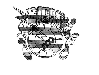 BIGDYE TERMINATORS logo