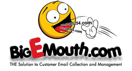 BIGEMOUTH.COM THE SOLUTION TO CUSTOMER EMAIL COLLECTION AND MANAGEMENT logo