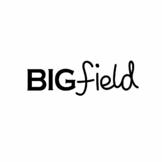 BIGFIELD logo