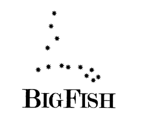 BIGFISH logo