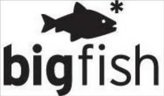 BIGFISH logo