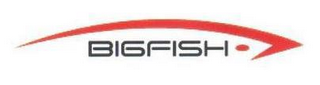 BIGFISH logo