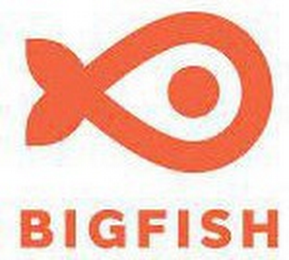 BIGFISH logo