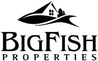 BIGFISH PROPERTIES logo
