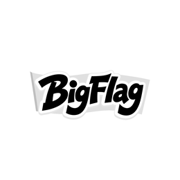 BIGFLAG logo