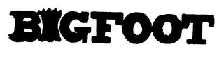 BIGFOOT logo