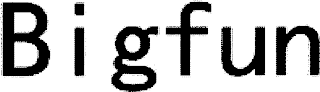 BIGFUN logo