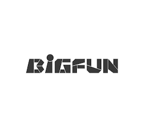 BIGFUN logo