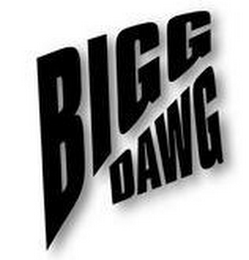 BIGG DAWG logo