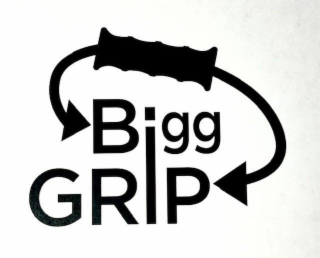 BIGG GRIP logo