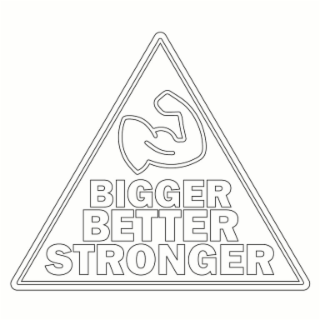 BIGGER BETTER STRONGER