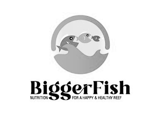 BIGGERFISH NUTRITION FOR A HAPPY & HEALTHY REEF logo