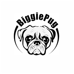 BIGGIEPUG logo