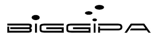 BIGGIPA logo