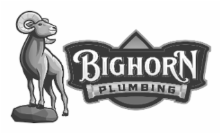 BIGHORN PLUMBING logo