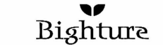 BIGHTURE logo