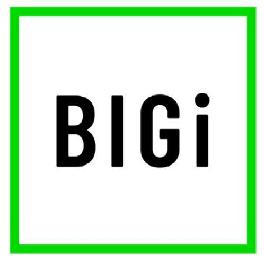 BIGI logo