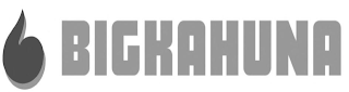 BIGKAHUNA logo