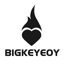 BIGKEYEOY logo