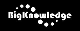 BIGKNOWLEDGE logo