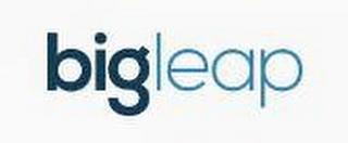 BIGLEAP logo