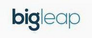 BIGLEAP logo