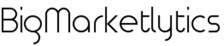 BIGMARKETLYTICS logo