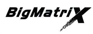 BIGMATRIX logo