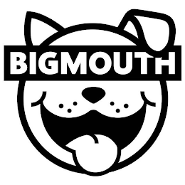 BIGMOUTH logo
