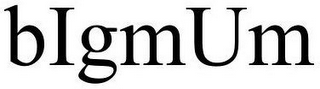 BIGMUM logo