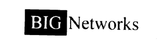BIGNETWORKS logo