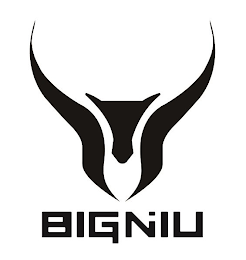 BIGNIU logo