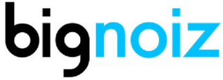 BIGNOIZ logo