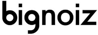 BIGNOIZ logo
