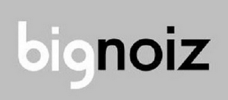 BIGNOIZ logo