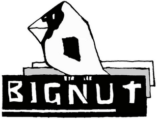 BIGNUT logo