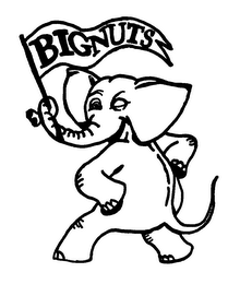 BIGNUTS logo