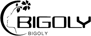 BIGOLY BIGOLY logo