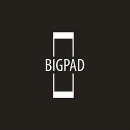 BIGPAD logo