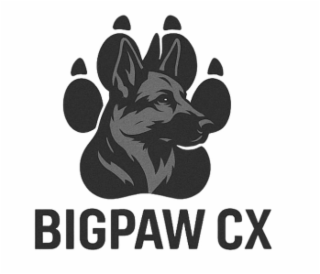 BIGPAW CX
