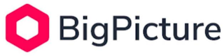 BIGPICTURE logo
