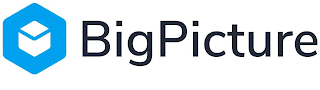 BIGPICTURE logo